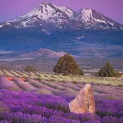 万博ManBetX手机版登录官网